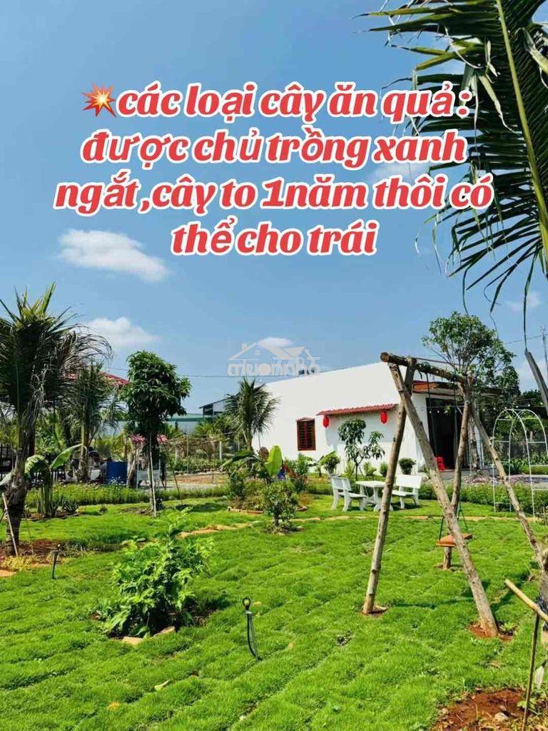 Bán 2186m nhà vườn long khánh thành phố đồng nai - 4