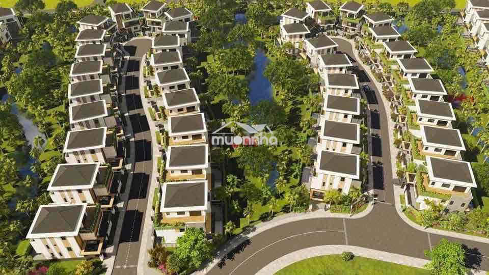 Sở hữu biệt thự the agula kdc phúc an city - 2