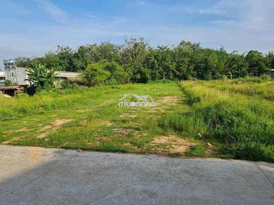 🏡 Đất nền bình dương - lô đẹp - giá hấp dẫn - cơ hội đầu tư - 3