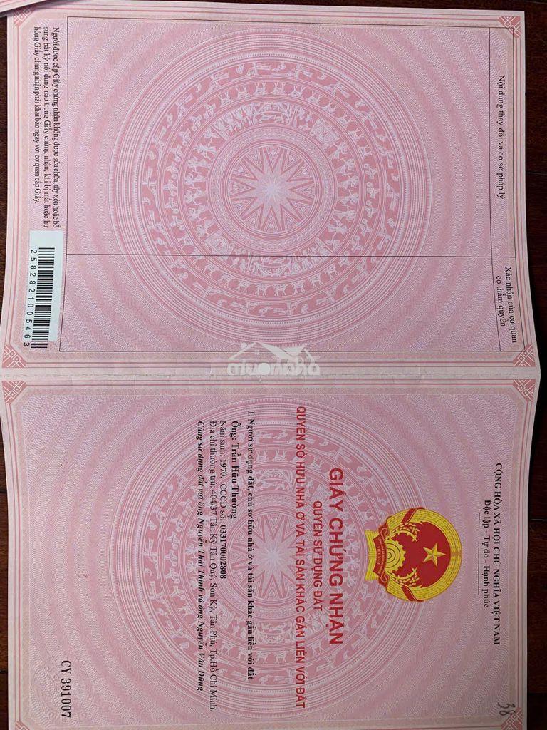 Bán đất đang trồng cây cao xu - 2