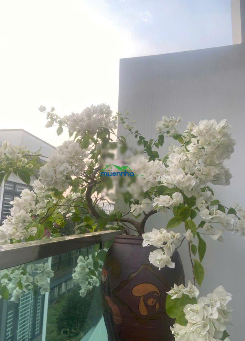 Bán nhà bình chiểu, thủ đức - 5tỷ4, tl - 4pn3wc.