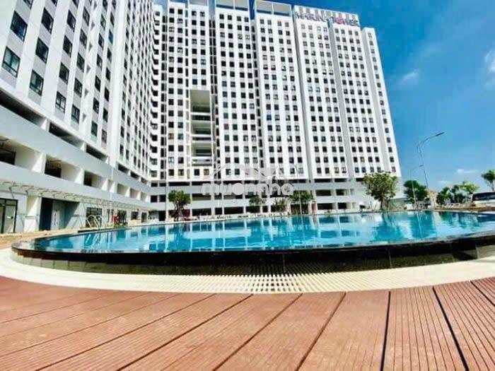 Cho thuê căn hộ full nội thất ngay chợ đầu mối thủ đức