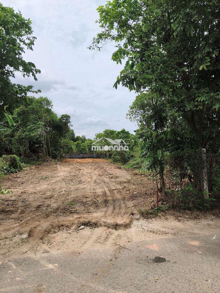 Rẻ chấn động 12tr/m2 293 nguyễn thị minh khai - 2