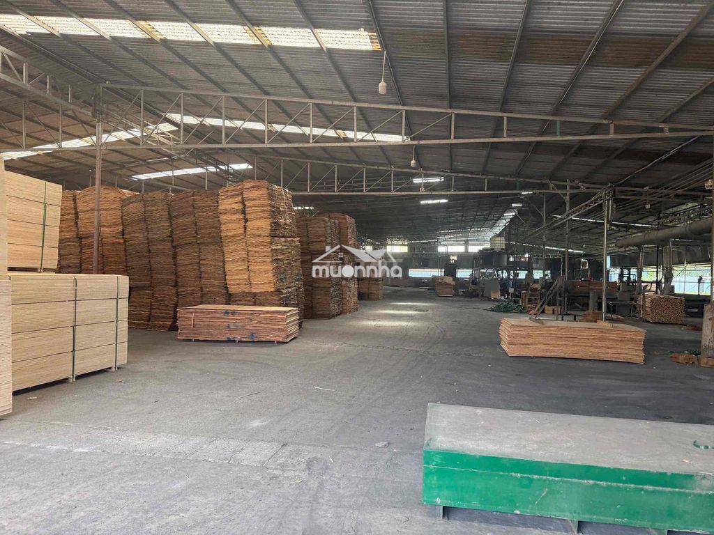 Cho thuê xưởng tân uyên bình dương - 3