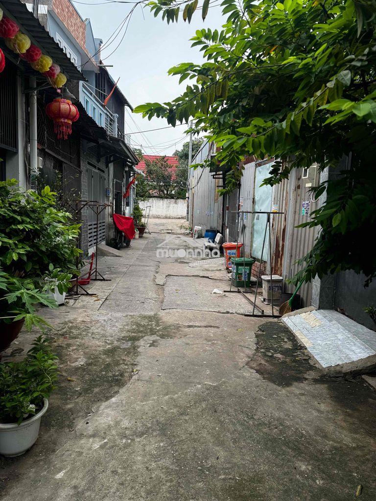 Cần cho thuê nhà cấp 4 vĩnh lộc b, bình chánh - 3
