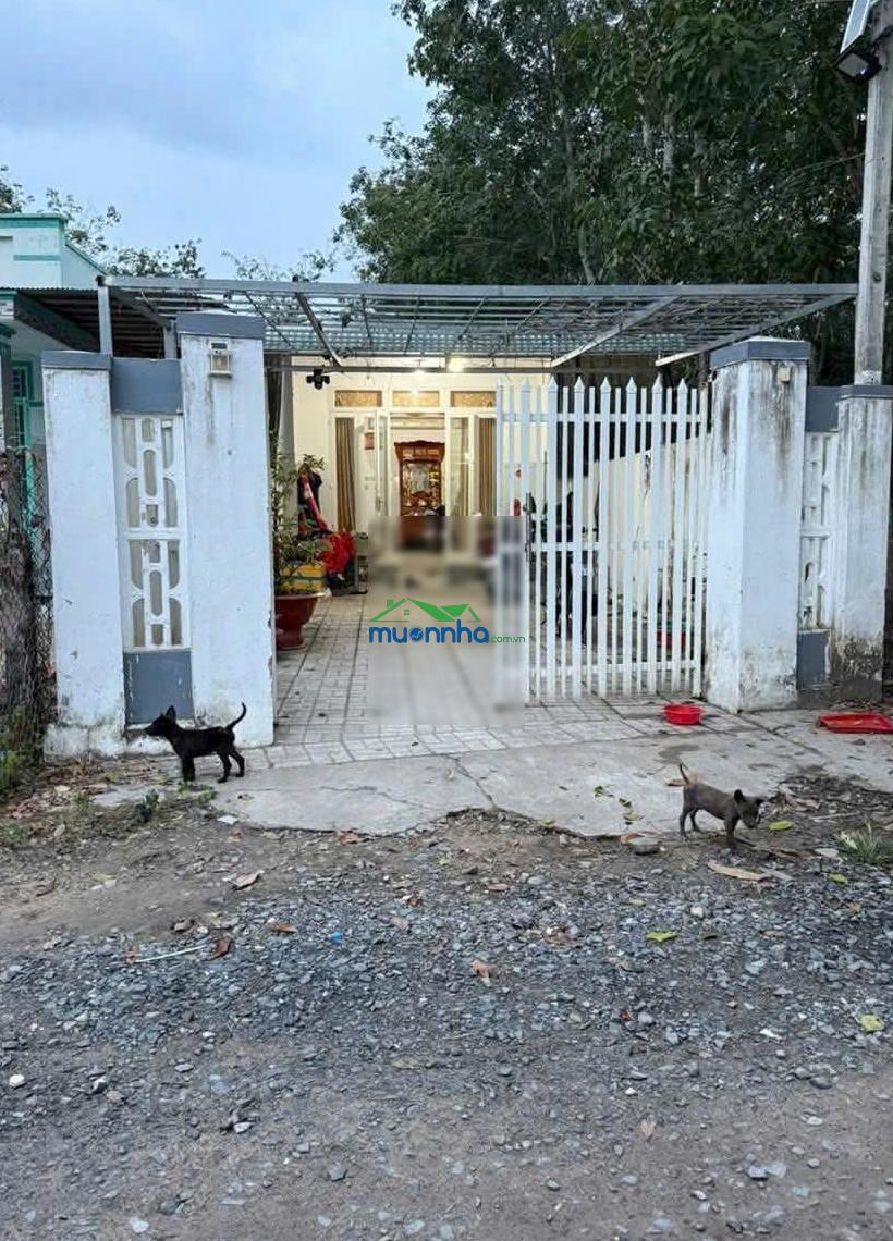 Chủ nhà cần bán gấp căn nhà 120m2 đường nguyễn thị hé tân thông hội củ chi chỉ 990tr - 3