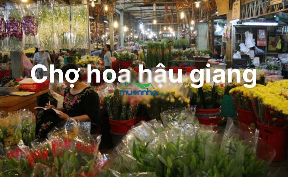 Bán nhà quận 6 - hậu giang - cách mặt tiền 50m - khu vực kinh doanh sầm uất - nhỉnh 4 tỷ. + dt: - 3