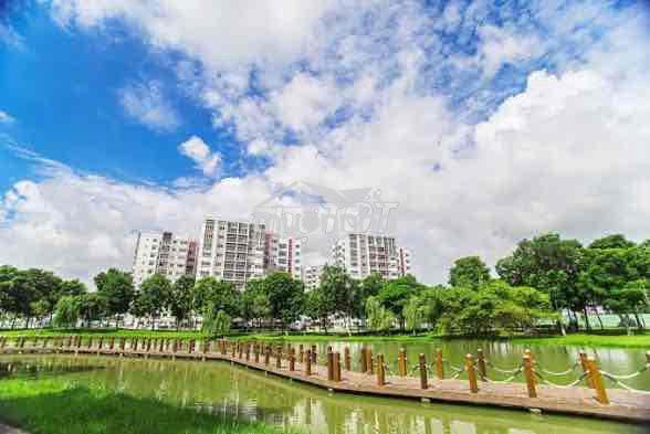 Cho thuê căn 2pn 2wc dt 63m2 khu ruby celadon city tân phú - 2