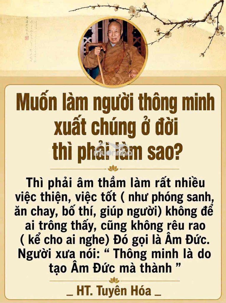 Cho thuê văn phòng khu him lam q7 (20x20) giá 50 tr - 2