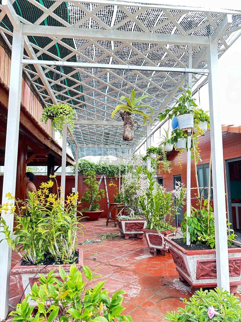 Cần bán gấp căn nhà gỗ sân vườn - 3