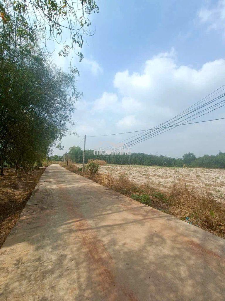 Bán lô đất hẻm xe hơi thị xã chơn thành , 5.06×38 , 190m2 . 598 triệu - 3