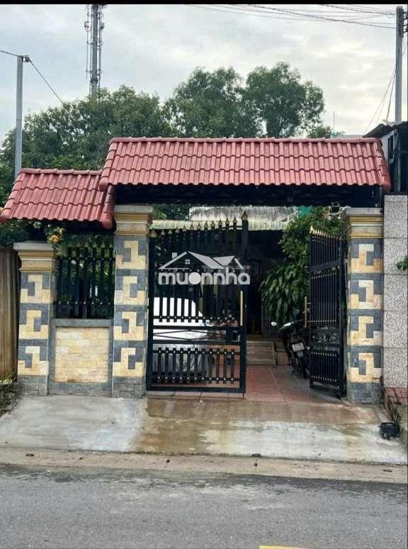 Cần tiền chữa bệnh cho con bán rẻ căn nhà, khánh bình 5 - tân uyên -bd - 2