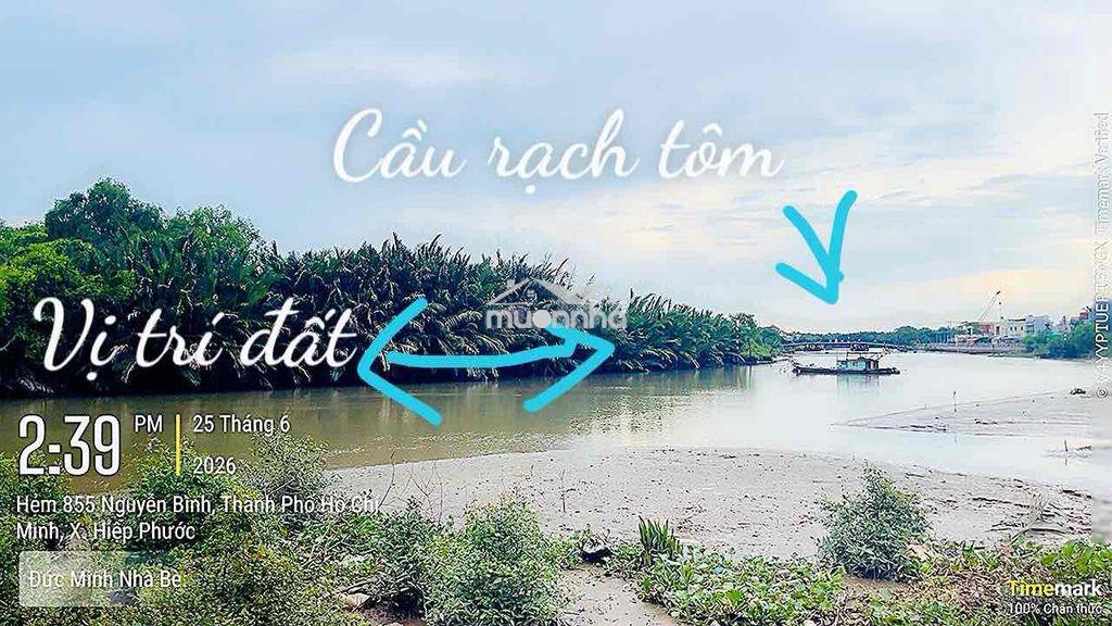 1900m2 view sông rạch tôm, nhà bè. giá 10,5 tỷ - 3