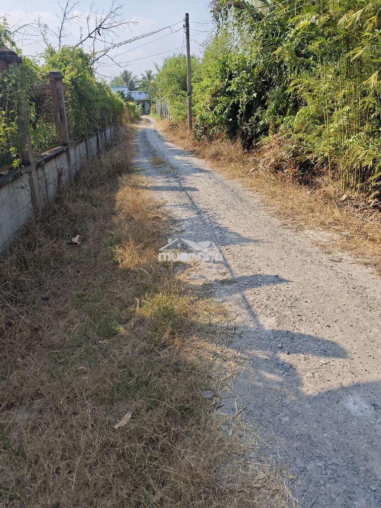Cần bán nhà vườn ở ấp bàu trâu, củ chi - 4