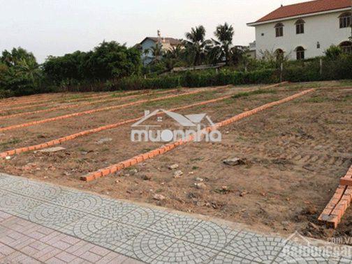 Đất thổ cư giá rẻ đồng xoài
