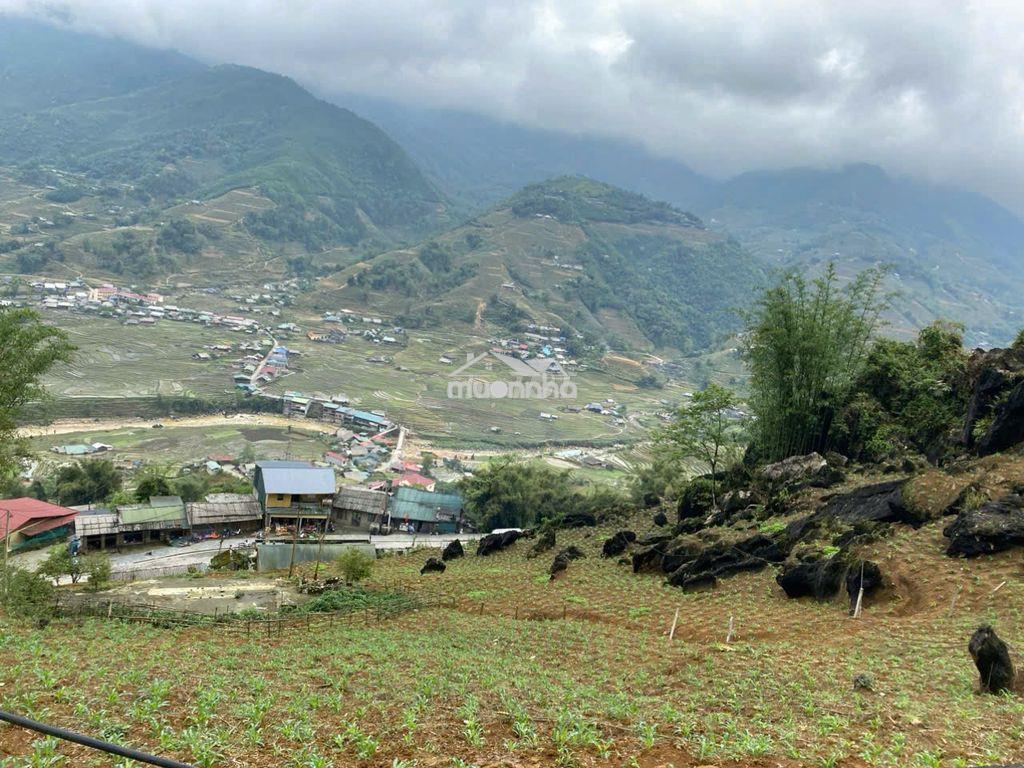 Cơ hội đầu tư đất đẹp tại cầu mây, sa pa, view thung lũng mường hoa - 3