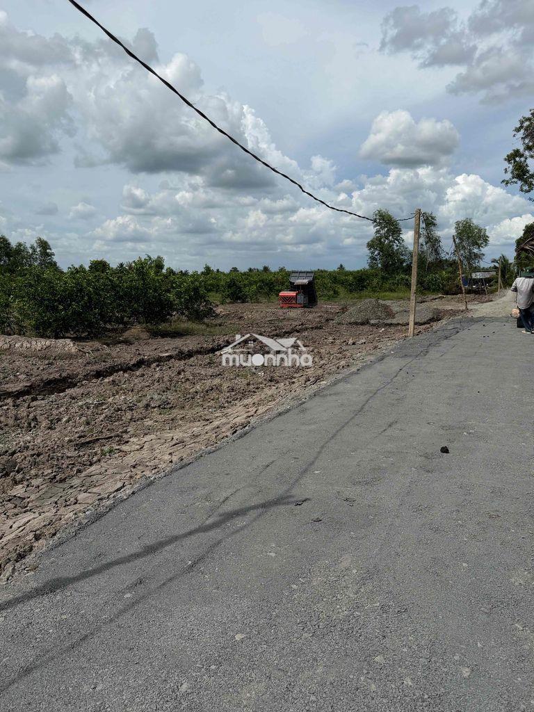 500m2 đất vườn trồng chanh ,thạnh hoà ,bến lức  long an ,kế bên tphcm