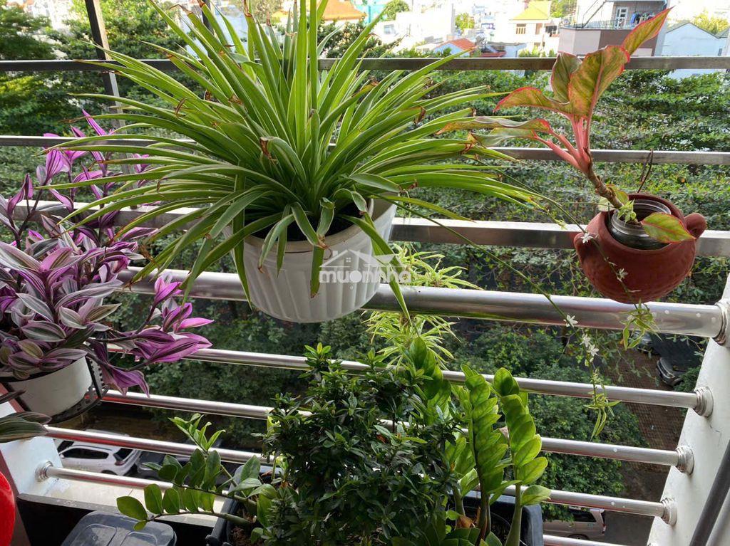 Bán chung cư phường gò vấp (p.17 cũ), trục nguyễn oanh. đã có sổ ạ ^^ - 4