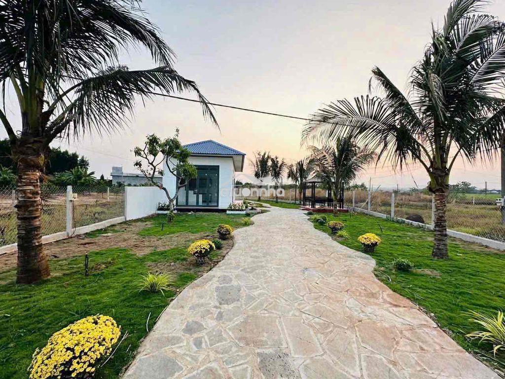 Nhà vườn nghỉ dưỡng 500m2 tại phường bảo vinh long - 2