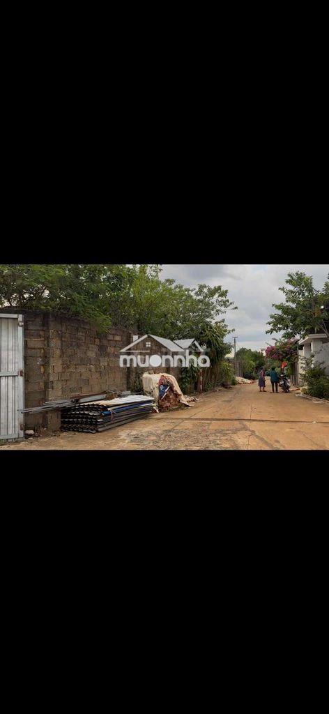 Bán xưởng 7800m2 phường bmt