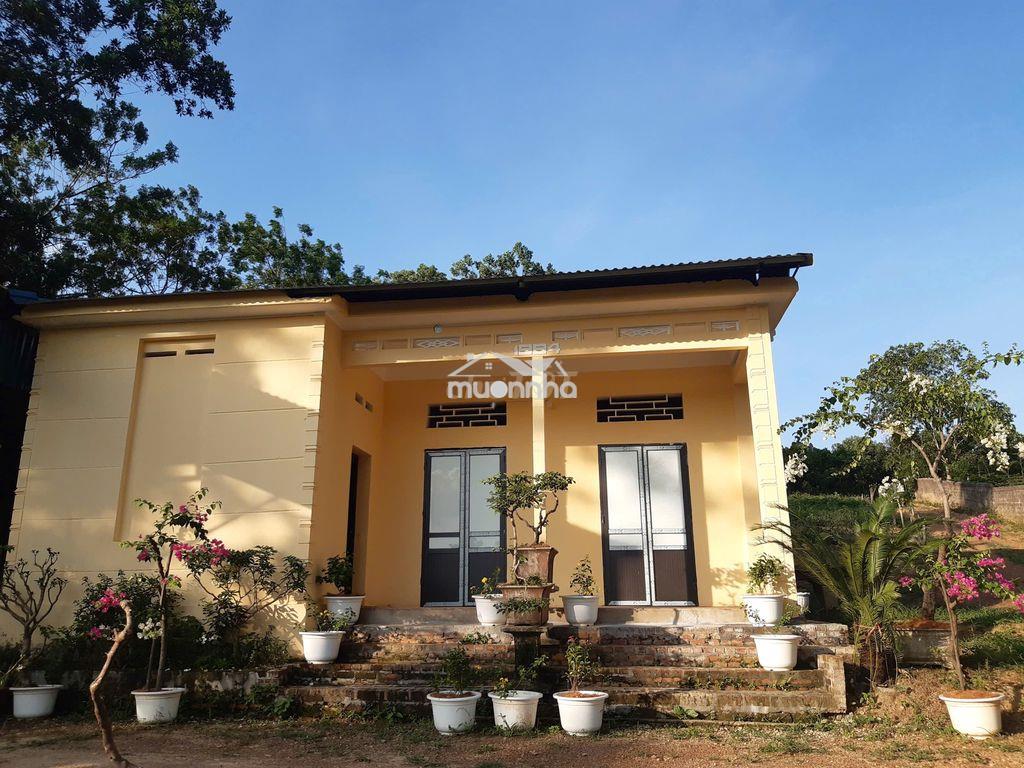 Cần bán nhà vườn 2193m² chính chủ - ba vì, hà nội - 2
