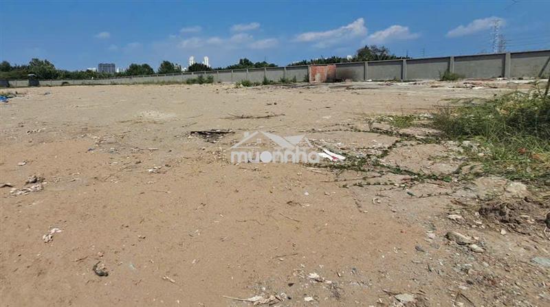 Cho thuê đất nguyễn hữu thọ, 5.500m² – giá chỉ 60 triệu/tháng