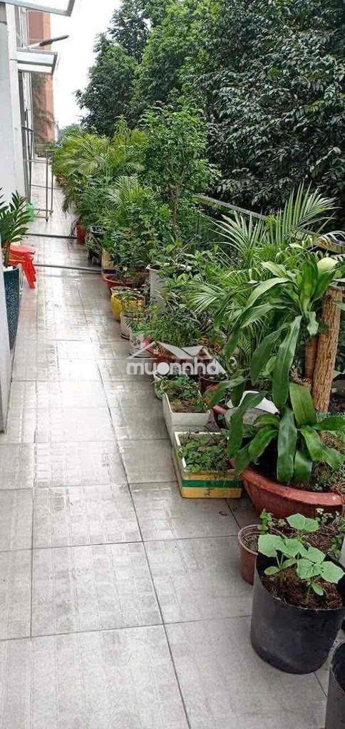 Cho thuê căn hộ ruby celadon city tân phú 2pn 2wc ntcb có ban công giá - 2