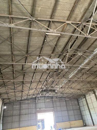 Cho thuê rẻ kho 1000m2 đường container, giá chỉ 100 triệu/th - 3