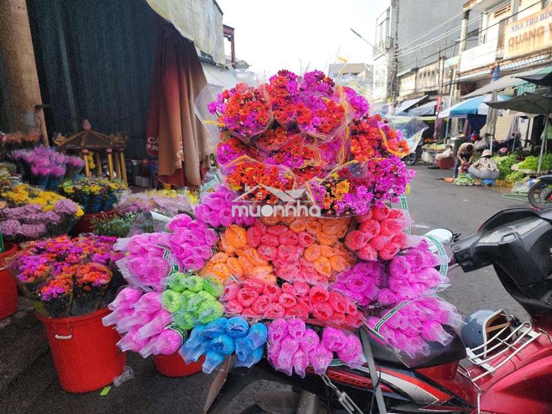32m mặt tiền 