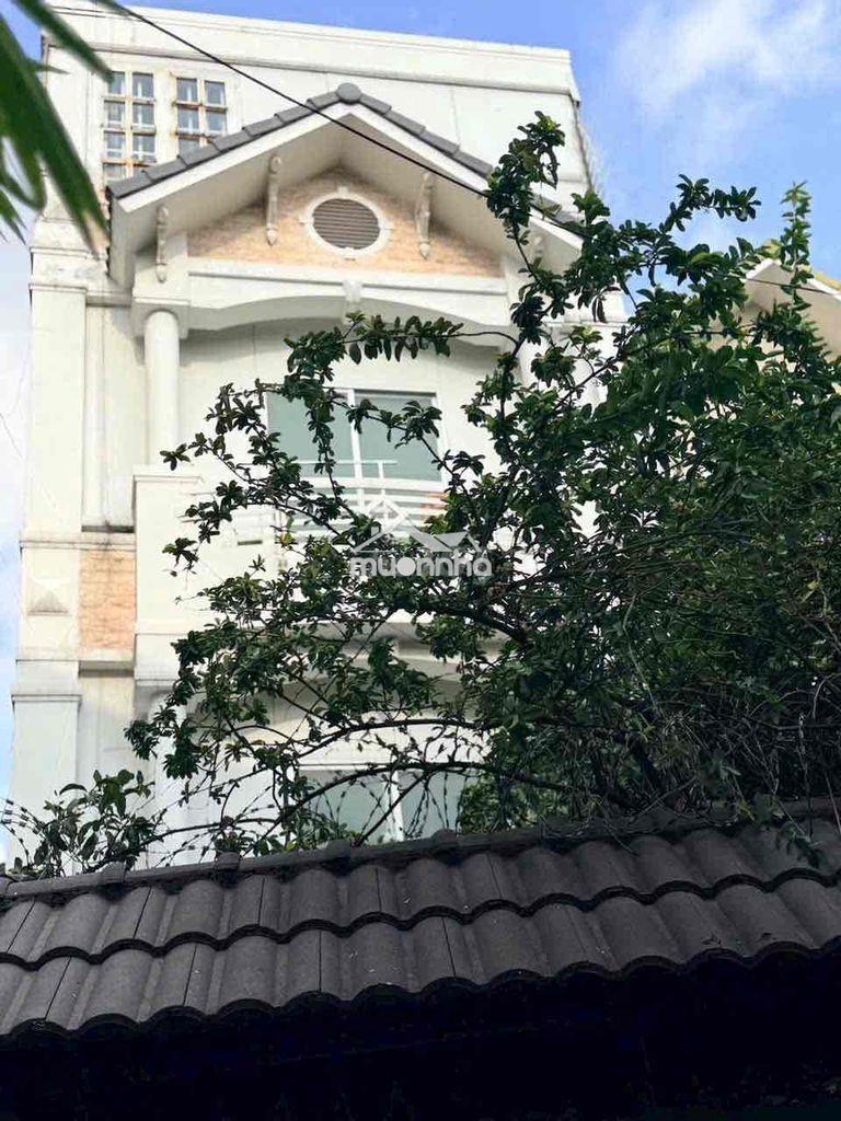 🔥Trường sơn - tân bình - hẻm oto - ngang 5m nở hậu 8.8m chữ l cực đẹp- - 2