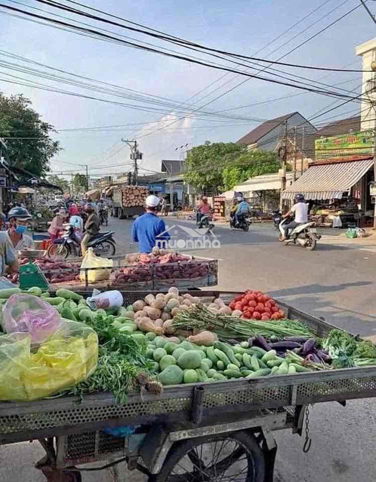 Chính chủ kẹt tiền cần bán gapa - 3
