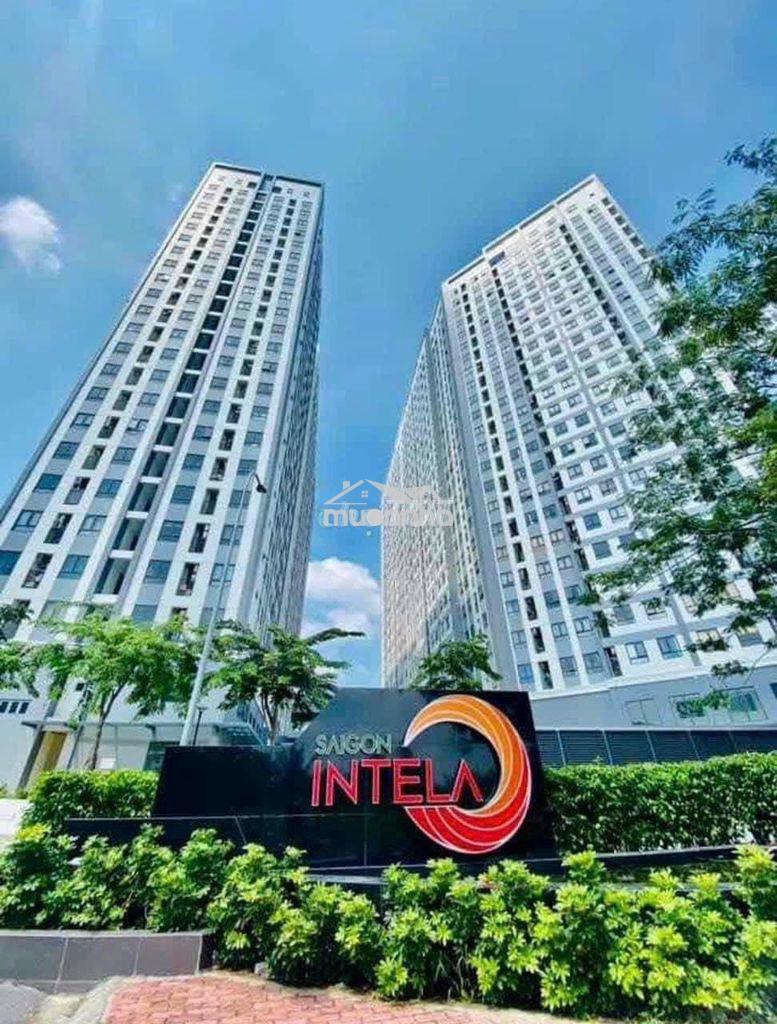 Chính chủ cần bán gấp căn hộ sài gòn intela dt 55m view tp giá rẻ.