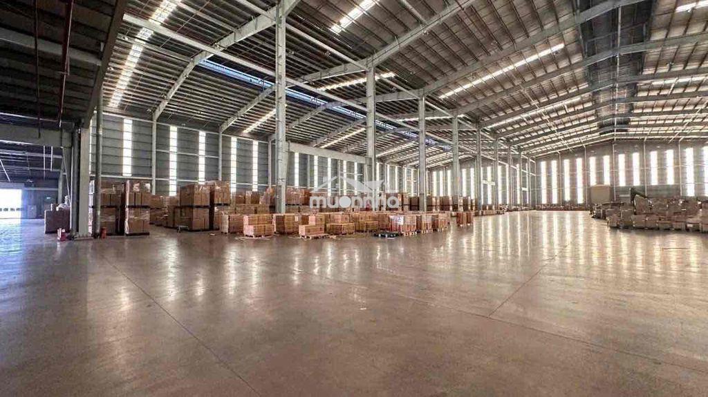 Kho xưởng pccc nhiệm thu ( 8.000m2 ) bình tân - 3