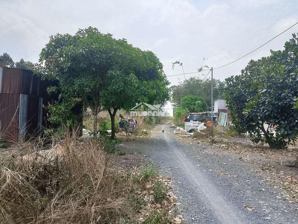 Đất ở nông thôn - 2