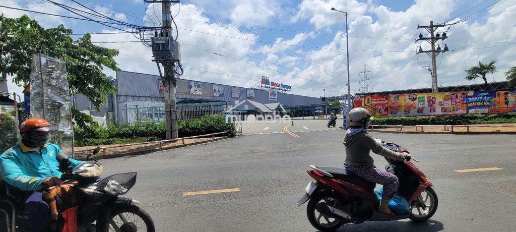 Biệt thự vitri đẹp kv sầm uất 6.6 x 30. sd400m2 giáp gò vấp - 2