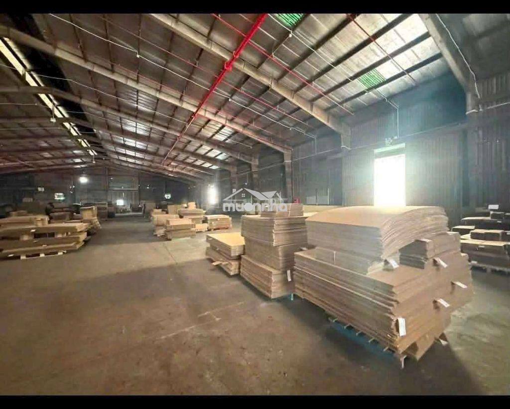 Cho thuê kho thủ dầu một bình dương - 3