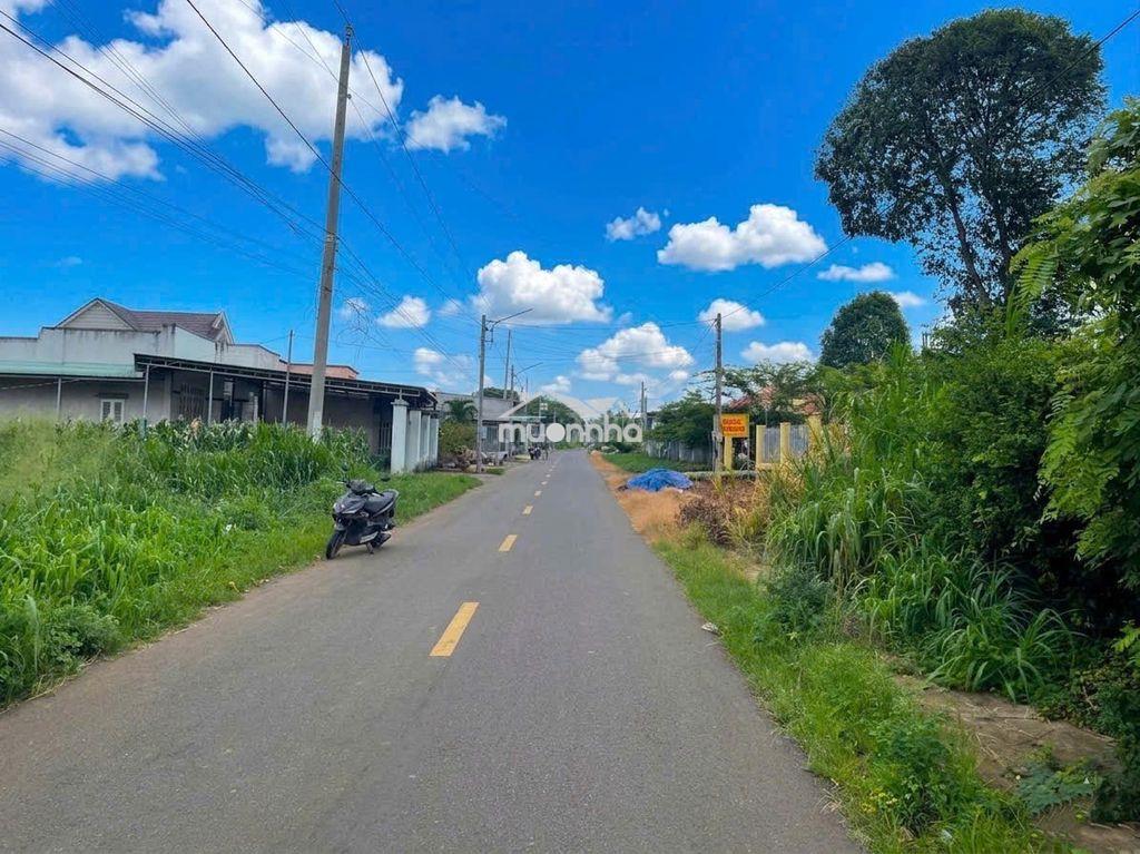 250m2 + 100m2 tc nhựa 7m 550tr ngay ubnd xã an linh - 3