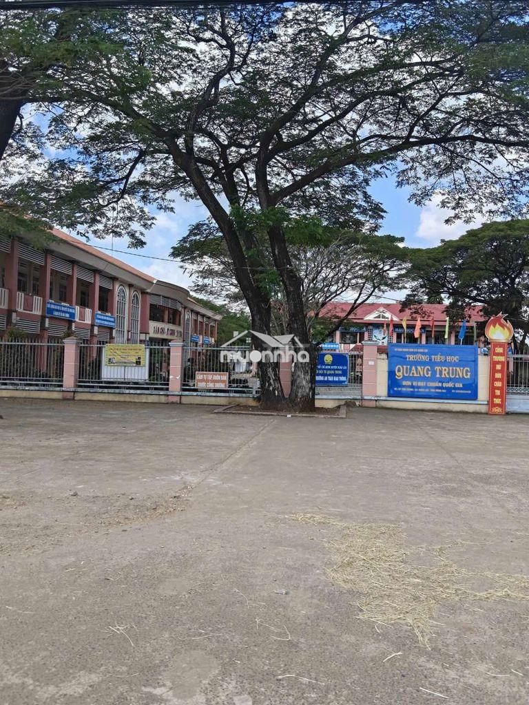 Giáp bảo vinh - long khánh , view núi gia lào - 2