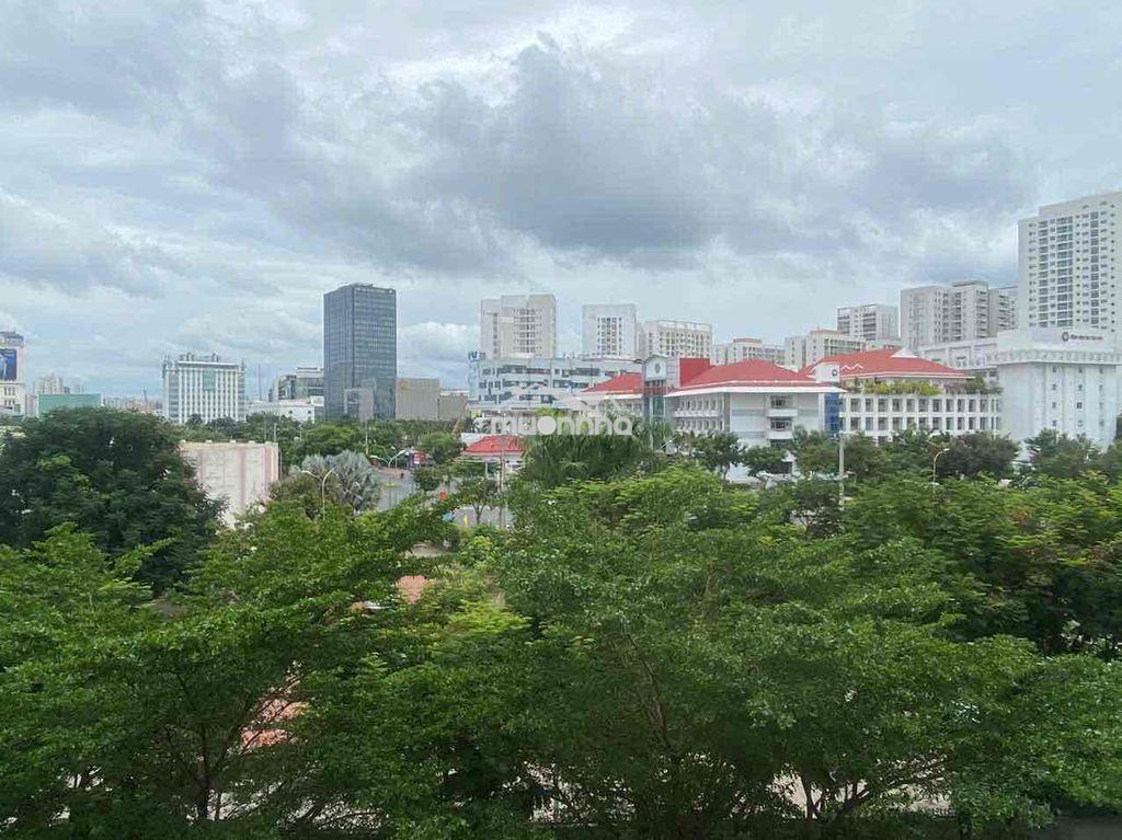 Chính chủ bán căn hộ chung cư tân mỹ nguyễn lương bằng - 4
