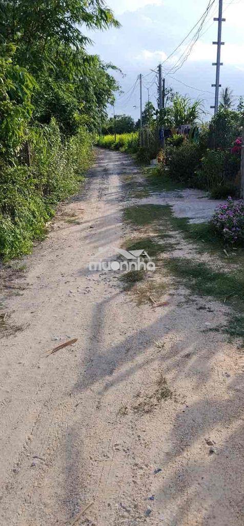 10x35m đất full thổ cư giá rẻ - 4