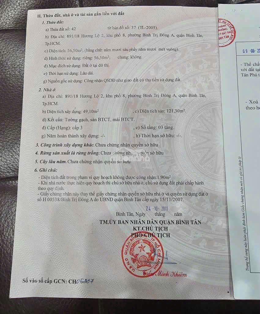 Gân cho và trưởng hoc - 4