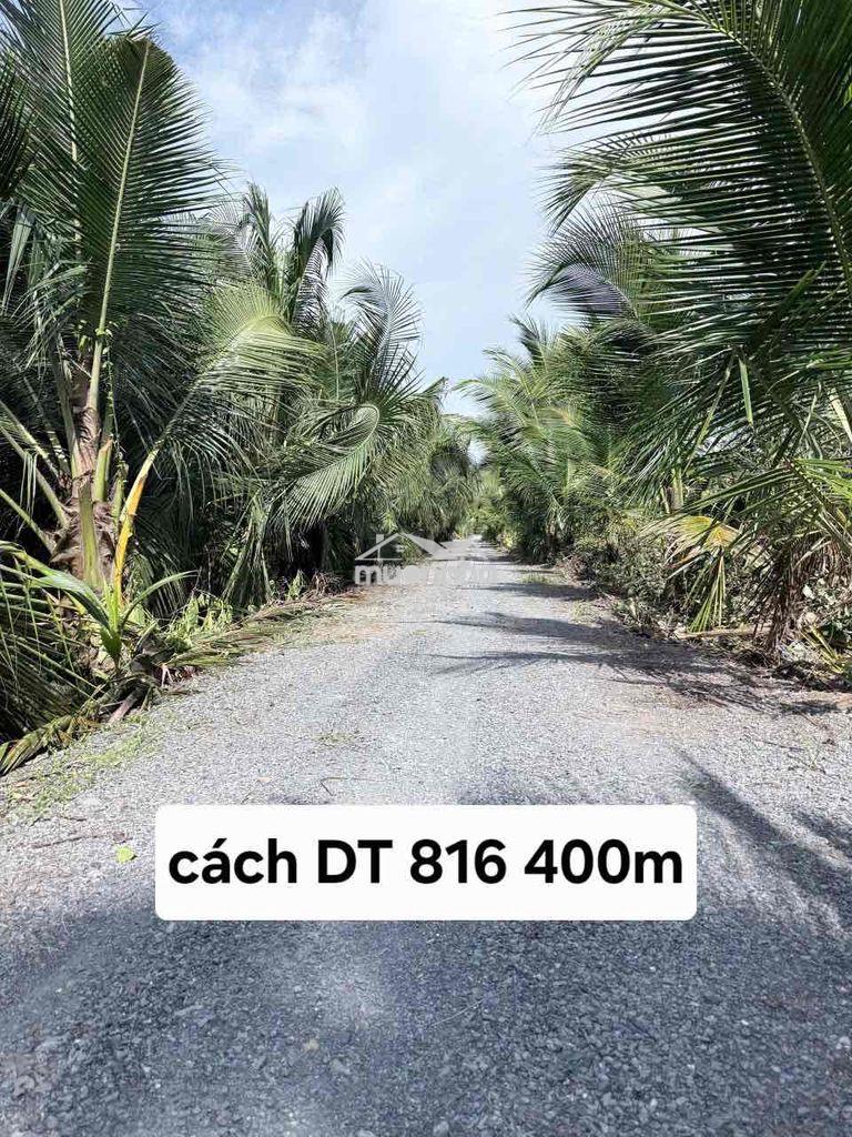 Hàng hiếm gần dt816 thì lâu lâu mới có - 3