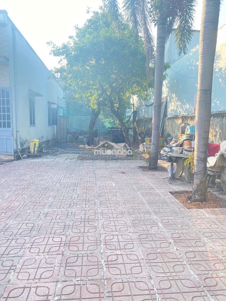 Chính chủ bán đất 133m2 long bình biên hòa gần nguyễn ái quốc, 2,5 tỷ - 2