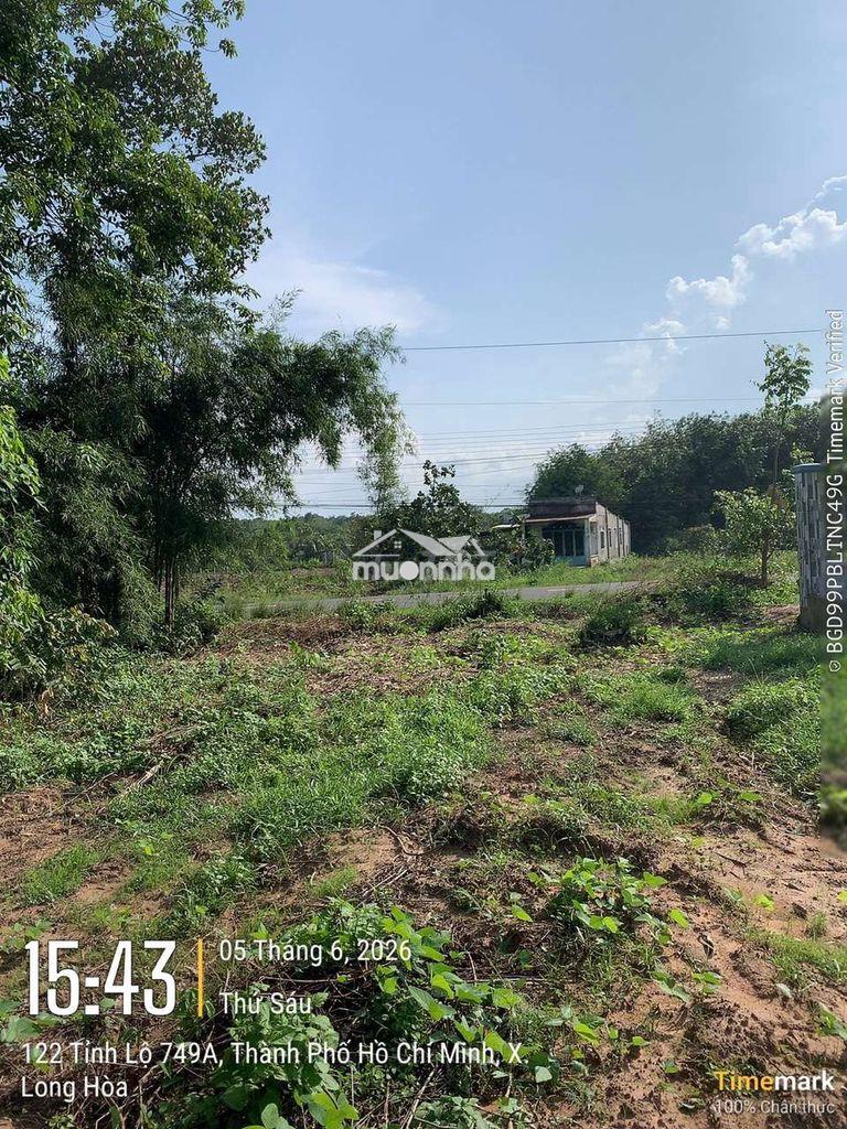 (Chính chủ bán) 3632m2 đất mặt tiền dt749a,tp.hcm. - 2