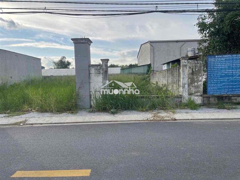 Bán đất sổ hồng riêng 135m2 ở tân phú trung