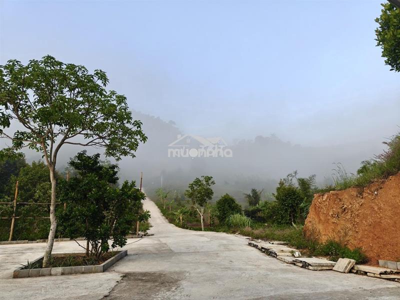 Bán đất nghỉ dưỡng view đẹp tại khánh hòa - hoa hồng cho môi giới: 2%