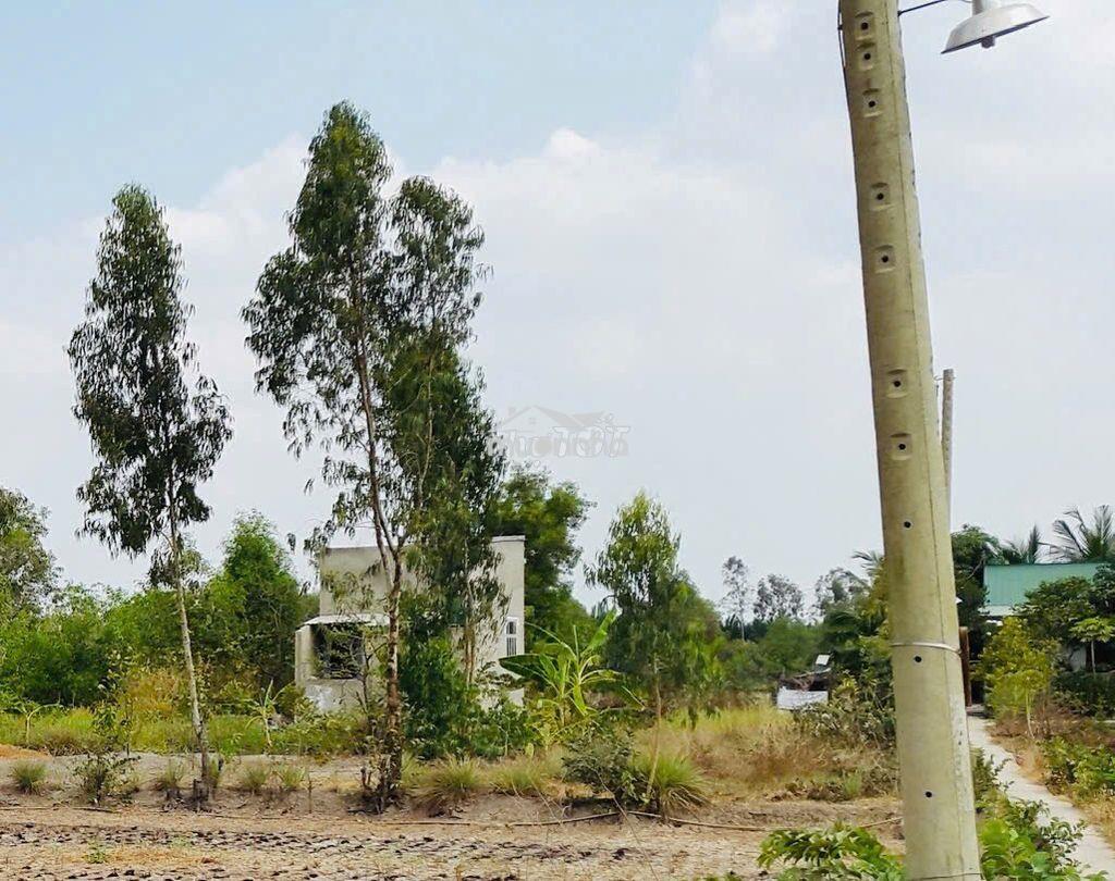 Bán đất vườn chính chủ giá rẻ - 2