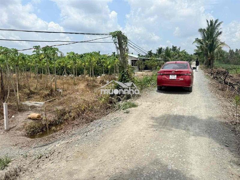 Đất vườn cho lên thổ 1000m2 xả 750tr tân thành, thủ thừa