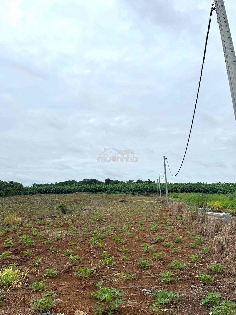 Chỉ 680 triệu sở hữu đất thổ cư sổ riêng 135m2 xã hưng thịnh đồng nai - 3