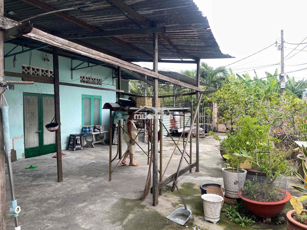 Bán gấp nhà góc 426m² trung tâm tân túc, bình chánh – có sẵn 2 căn nhà - 2